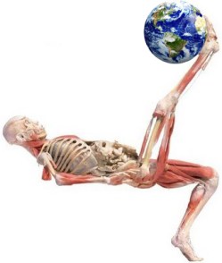 O corpo humano é um sistema, assim como o nosso planeta.